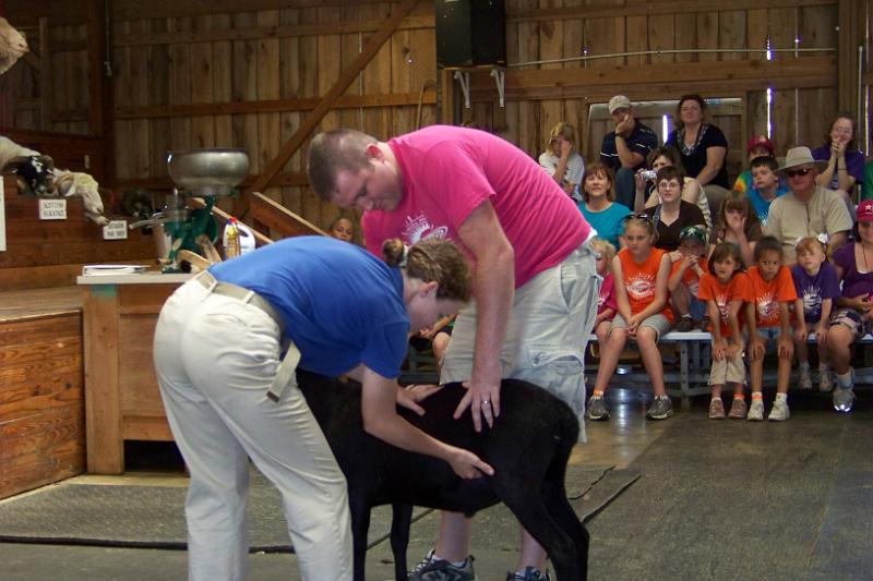 100_0774.JPG