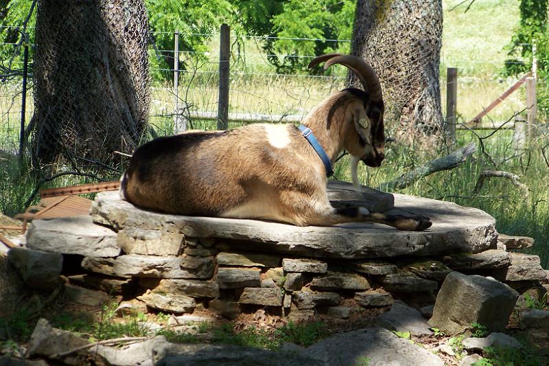 100_0823.JPG