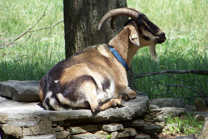 100_0826.JPG