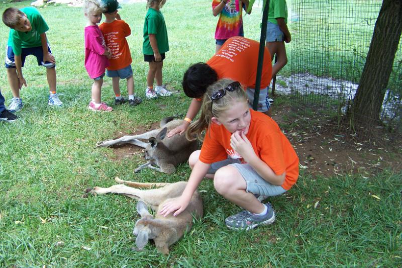 100_0889.JPG