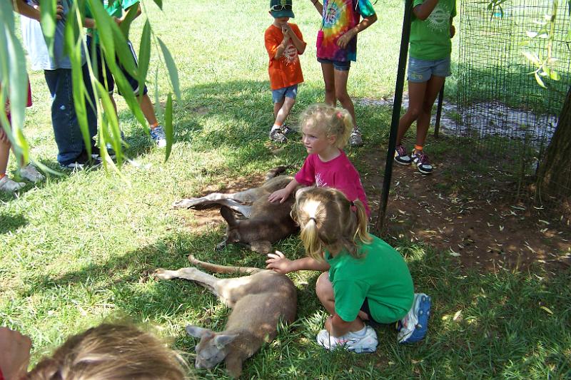 100_0891.JPG
